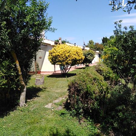 Agriturismo Le Colline Di Capalbio Ngoại thất bức ảnh