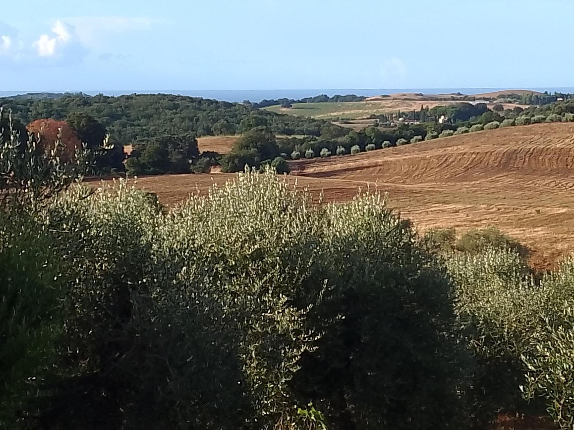 Agriturismo Le Colline Di Capalbio Ngoại thất bức ảnh