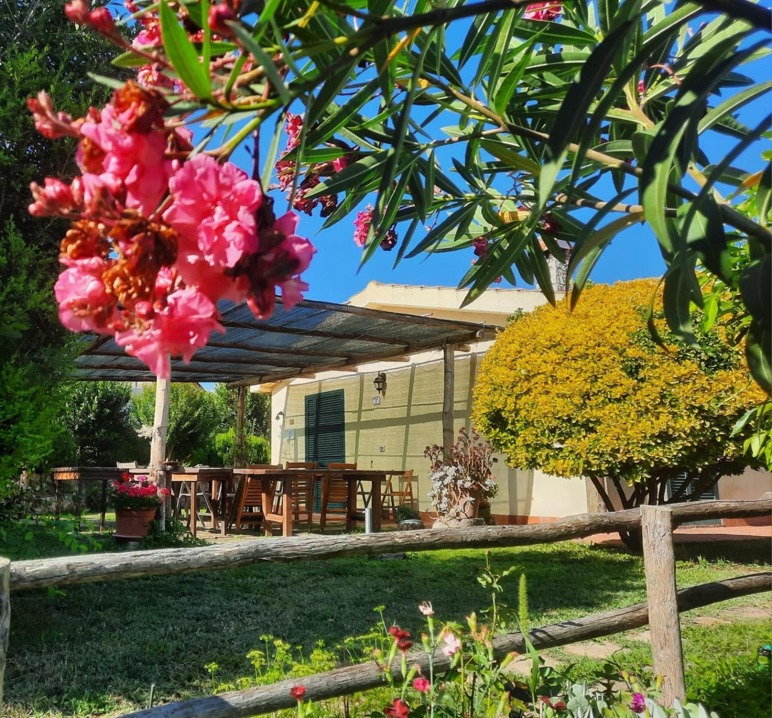 Agriturismo Le Colline Di Capalbio Ngoại thất bức ảnh