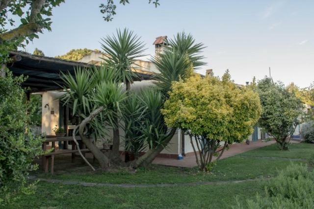 Agriturismo Le Colline Di Capalbio Ngoại thất bức ảnh