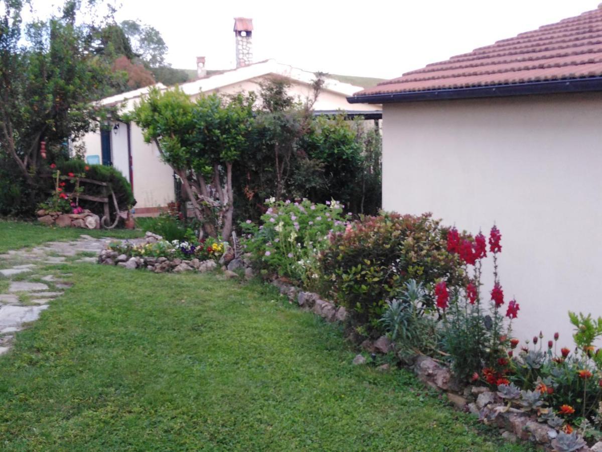Agriturismo Le Colline Di Capalbio Ngoại thất bức ảnh