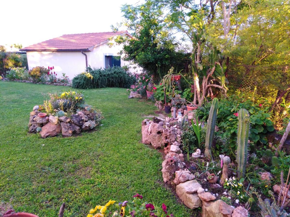 Agriturismo Le Colline Di Capalbio Ngoại thất bức ảnh